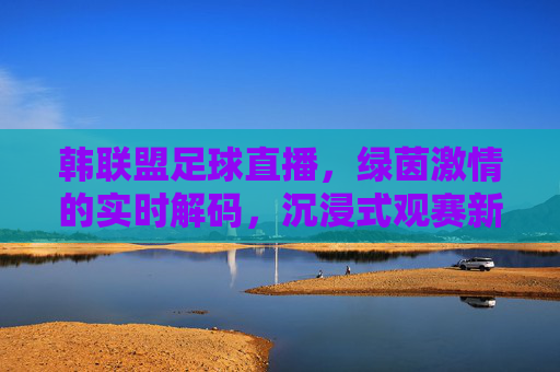 韩联盟足球直播，绿茵激情的实时解码，沉浸式观赛新体验，韩联盟足球直播，绿茵激情实时解码，沉浸式观赛新体验