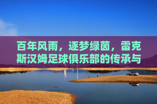 百年风雨,逐梦绿茵,雷克斯汉姆足球俱乐部的传承与辉煌,百年风雨,逐梦绿茵,雷克斯汉姆足球俱乐部的传承与辉煌
