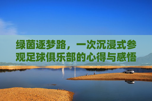 绿茵逐梦路，一次沉浸式参观足球俱乐部的心得与感悟，绿茵逐梦路，沉浸式参观足球俱乐部的心得与感悟
