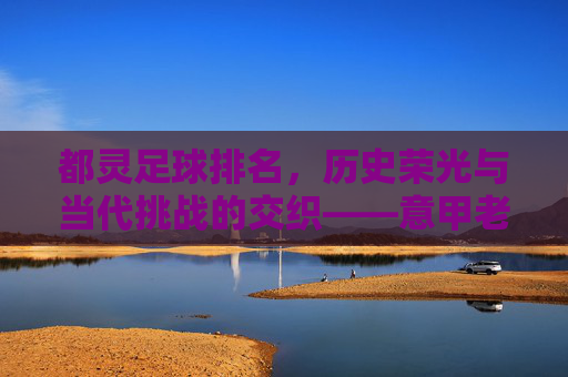 都灵足球排名，历史荣光与当代挑战的交织——意甲老牌劲旅的排名轨迹与未来展望