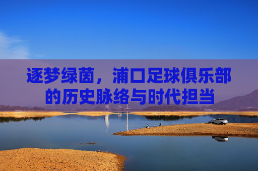 逐梦绿茵,浦口足球俱乐部的历史脉络与时代担当