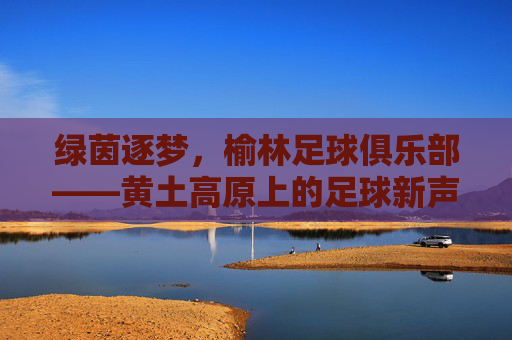 绿茵逐梦,榆林足球俱乐部——黄土高原上的足球新声与希望