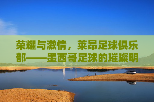 荣耀与激情,莱昂足球俱乐部——墨西哥足球的璀璨明珠与青春力量