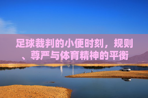 足球裁判的小便时刻，规则、尊严与体育精神的平衡