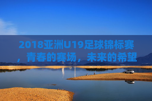 2018亚洲U19足球锦标赛,青春的赛场,未来的希望——记亚洲青年足球的荣耀与传承