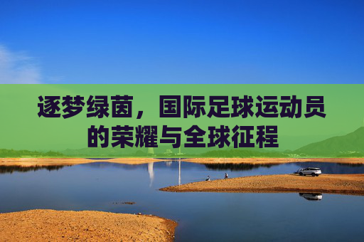 逐梦绿茵，国际足球运动员的荣耀与全球征程