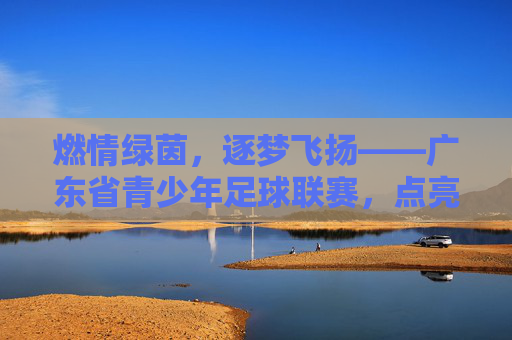 燃情绿茵，逐梦飞扬——广东省青少年足球联赛，点亮少年足球梦想，铸就未来足球之星