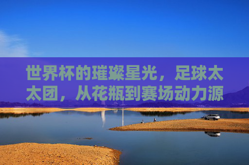 世界杯的璀璨星光,足球太太团,从花瓶到赛场动力源的华丽转身,世界杯太太团,从花瓶到赛场动力源的华丽蜕变