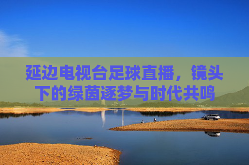 延边电视台足球直播,镜头下的绿茵逐梦与时代共鸣