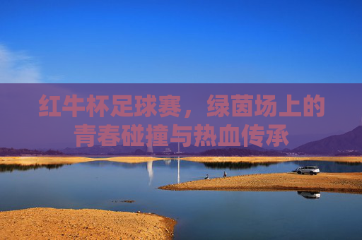 红牛杯足球赛,绿茵场上的青春碰撞与热血传承