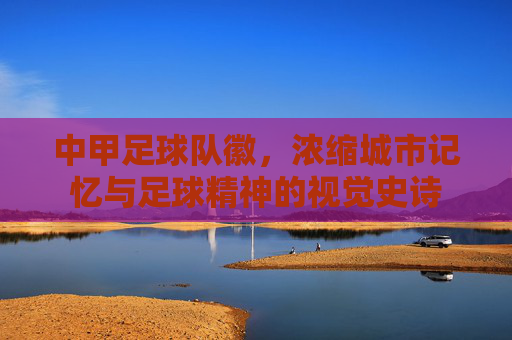 中甲足球队徽,浓缩城市记忆与足球精神的视觉史诗