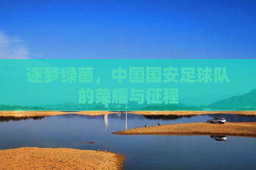 逐梦绿茵，中国国安足球队的荣耀与征程