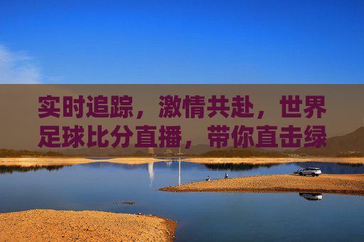 实时追踪，激情共赴，世界足球比分直播，带你直击绿茵风云