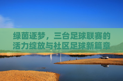 绿茵逐梦，三台足球联赛的活力绽放与社区足球新篇章，绿茵逐梦，三台足球联赛的活力绽放与社区足球新篇章