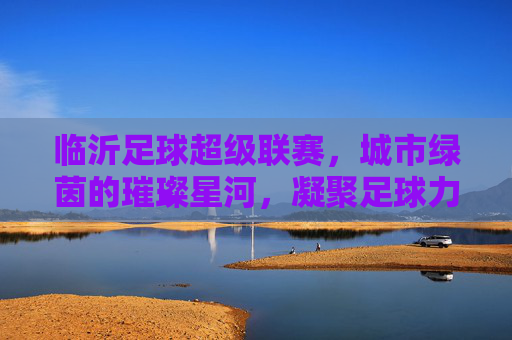 临沂足球超级联赛,城市绿茵的璀璨星河,凝聚足球力量与城市梦想