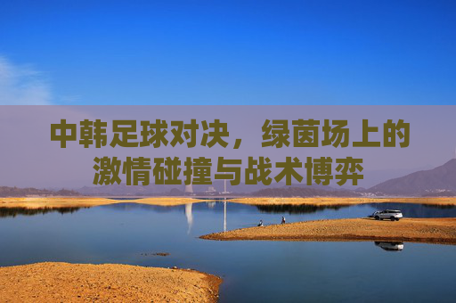 中韩足球对决,绿茵场上的激情碰撞与战术博弈