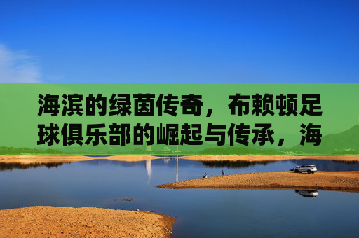 海滨的绿茵传奇,布赖顿足球俱乐部的崛起与传承,海滨的绿茵传奇,布赖顿足球俱乐部的崛起与传承