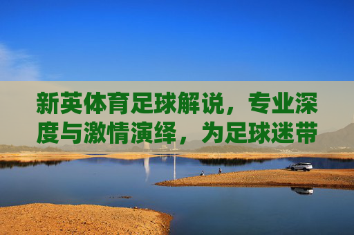 新英体育足球解说，专业深度与激情演绎，为足球迷带来沉浸式观赛体验