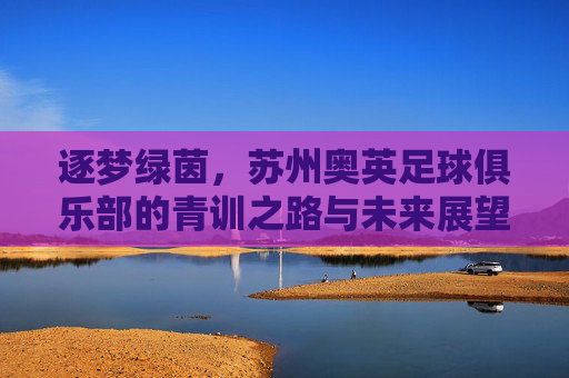 逐梦绿茵，苏州奥英足球俱乐部的青训之路与未来展望
