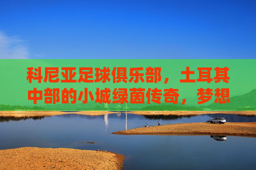 科尼亚足球俱乐部,土耳其中部的小城绿茵传奇,梦想与坚韧的足球印记,科尼亚足球俱乐部,土耳其中部小城的绿茵传奇与梦想坚韧印记