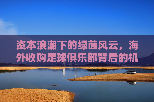 资本浪潮下的绿茵风云,海外收购足球俱乐部背后的机遇与挑战
