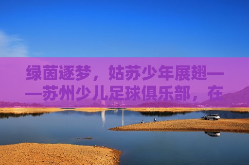 绿茵逐梦,姑苏少年展翅——苏州少儿足球俱乐部,在江南水乡的绿茵场上点燃足球热情与希望