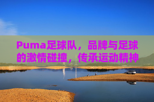 Puma足球队,品牌与足球的激情碰撞,传承运动精神的不朽篇章