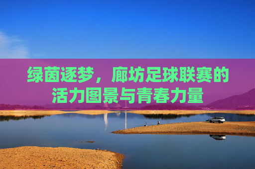 绿茵逐梦,廊坊足球联赛的活力图景与青春力量