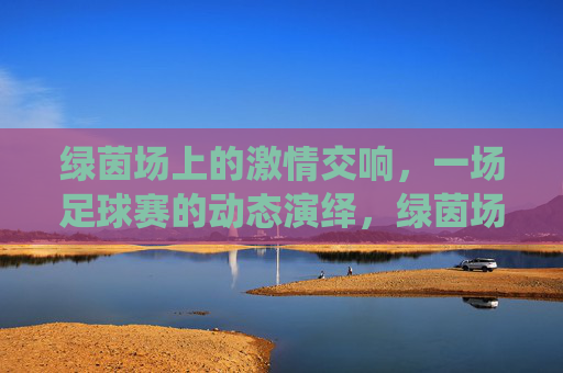 绿茵场上的激情交响,一场足球赛的动态演绎,绿茵场上的激情交响,一场足球赛的动态演绎
