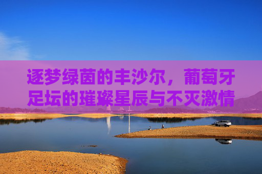 逐梦绿茵的丰沙尔,葡萄牙足坛的璀璨星辰与不灭激情