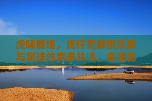 虎啸赛场，虎仔足球俱乐部与足球的青春共鸣，虎啸赛场，虎仔足球俱乐部与足球的青春共鸣