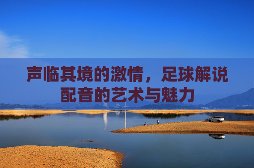 声临其境的激情,足球解说配音的艺术与魅力
