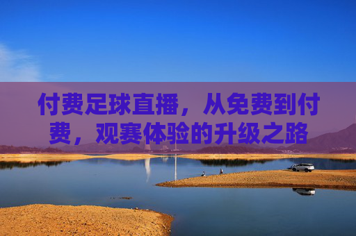 付费足球直播，从免费到付费，观赛体验的升级之路