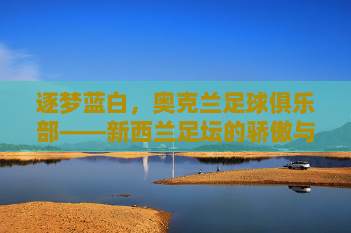逐梦蓝白,奥克兰足球俱乐部——新西兰足坛的骄傲与社区精神纽带,逐梦蓝白,奥克兰足球俱乐部——新西兰足坛的骄傲与社区精神纽带