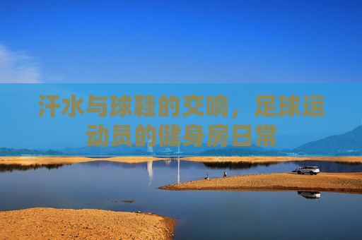 汗水与球鞋的交响，足球运动员的健身房日常
