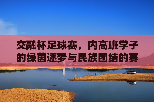 交融杯足球赛,内高班学子的绿茵逐梦与民族团结的赛场绽放