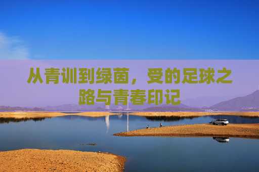 从青训到绿茵，受的足球之路与青春印记