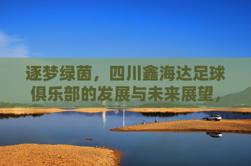 逐梦绿茵,四川鑫海达足球俱乐部的发展与未来展望,逐梦绿茵,四川鑫海达足球俱乐部的发展与未来展望