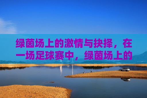 绿茵场上的激情与抉择，在一场足球赛中，绿茵场上的激情与抉择，一场足球赛中的抉择瞬间
