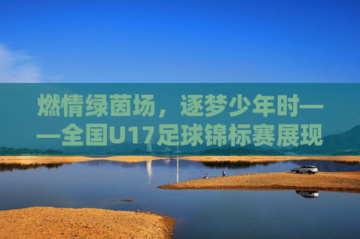 燃情绿茵场,逐梦少年时——全国U17足球锦标赛展现青春足球的无限活力与未来希望