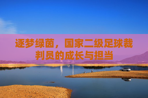 逐梦绿茵，国家二级足球裁判员的成长与担当