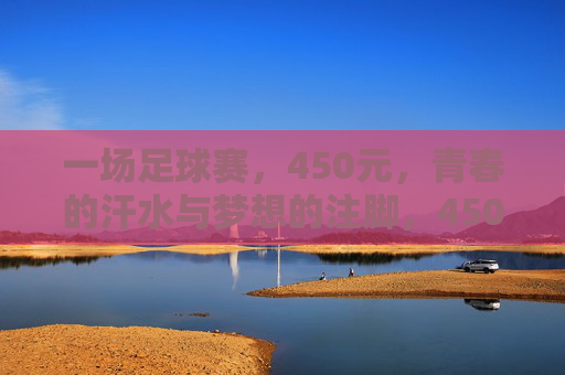 一场足球赛，450元，青春的汗水与梦想的注脚，450元足球赛，青春的汗水与梦想注脚