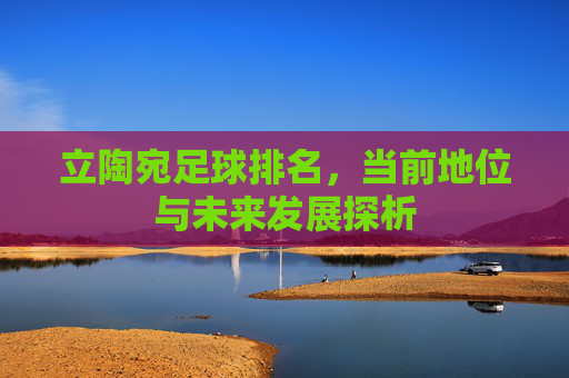 立陶宛足球排名,当前地位与未来发展探析