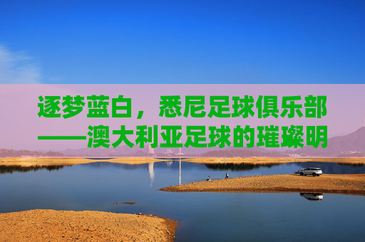 逐梦蓝白,悉尼足球俱乐部——澳大利亚足球的璀璨明珠与城市精神的缩影