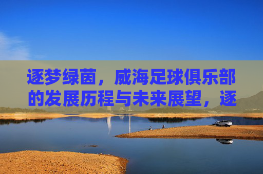 逐梦绿茵,威海足球俱乐部的发展历程与未来展望,逐梦绿茵,威海足球俱乐部的发展历程与未来展望