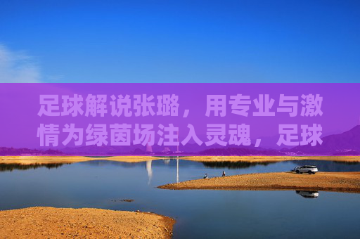 足球解说张璐，用专业与激情为绿茵场注入灵魂，足球解说张璐，以专业与激情为绿茵场注入灵魂