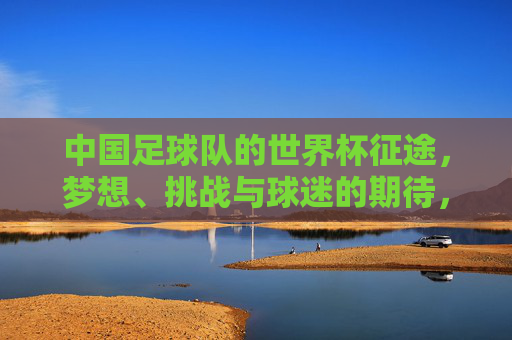 中国足球队的世界杯征途,梦想、挑战与球迷的期待,中国足球队世界杯征途,梦想、挑战与球迷的期待