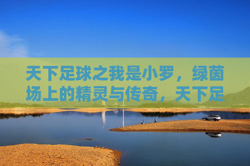天下足球之我是小罗，绿茵场上的精灵与传奇，天下足球之我是小罗，绿茵场上的精灵与传奇