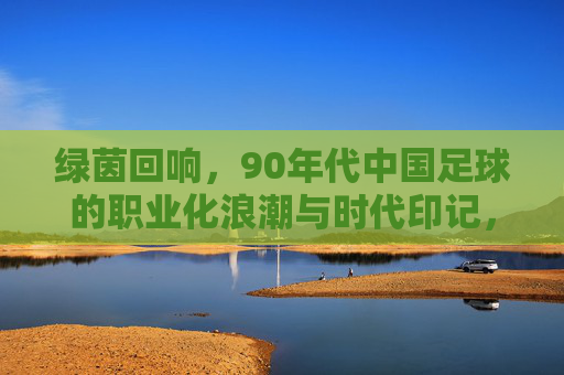 绿茵回响，90年代中国足球的职业化浪潮与时代印记，绿茵回响，90年代中国足球职业化浪潮与时代印记