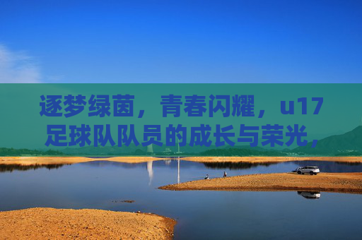 逐梦绿茵，青春闪耀，u17足球队队员的成长与荣光，逐梦绿茵，青春闪耀，u17足球队队员的成长与荣光